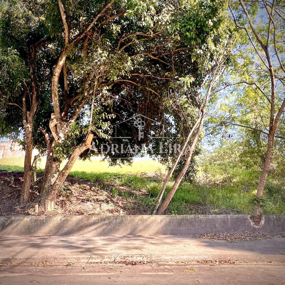 imagem-miniatura